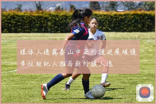 媒体人透露泰山中卫外援进展缓慢多位经纪人推荐新外援人选