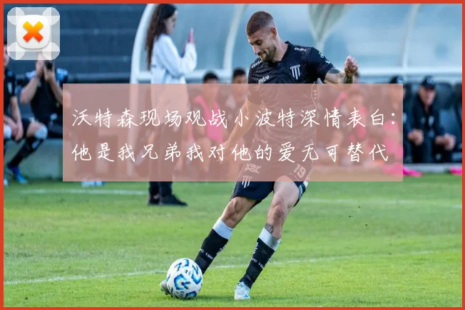 沃特森现场观战小波特深情表白：他是我兄弟我对他的爱无可替代