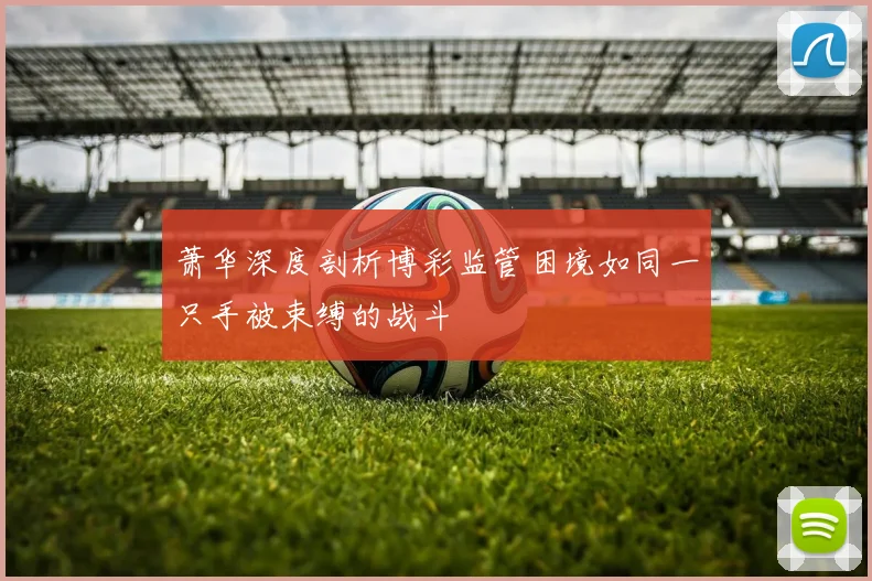 萧华深度剖析博彩监管困境如同一只手被束缚的战斗